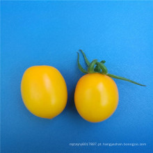 Suntoday sortidas mudas de vegetais híbrido amarelo cereja comprar sementes de tomate on-line a granel (22029)